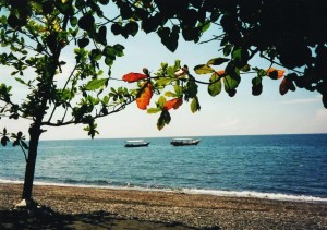 2001- BALI Matahari Beach Ruhe pur            